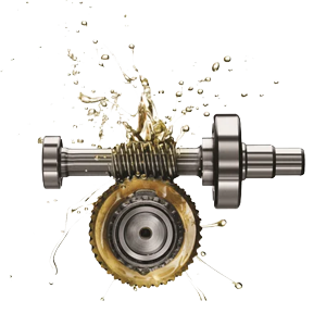 صفحه اصلی