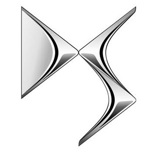 دی اس