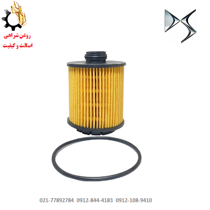 فرم - Copy (15) فیلتر روغن دی اس 6 DS اصلی