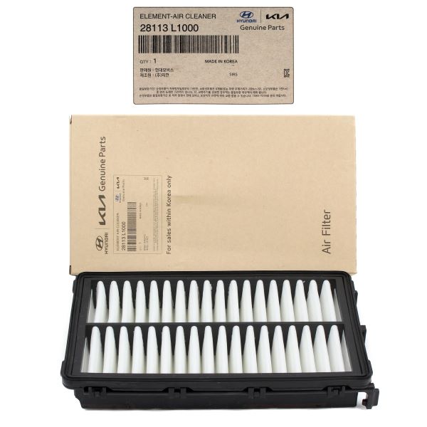 AF008_1_5000x فیلتر هوا هیوندای سانتافه و توسان ۲۰۲۳ کد 28113L1000 جنیون پارت